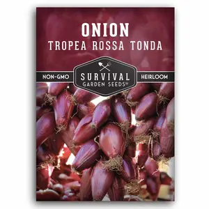 Tropea Rossa Tonda Onion Seeds - Italian Long Day Onion