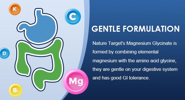 NATURE TARGET Magnesium Glycinate 500mg, Chelated Magnesium with Zinc & Vitamin D3 for Muscle, Nerve & Bone, Support Heart Health & Leg Cramp, Strength Immune System - 120 Capsules NATURE TARGET Magnesium Glycinate 500mg, Chelated Magnesium with Zinc & Vitamin D3 for Muscle, Nerve & Bone, Support Heart Health & Leg Cramp, Strength Immune System - 120 Capsules