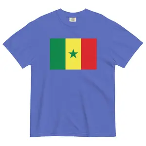 Senegal Flag Spirit Tee