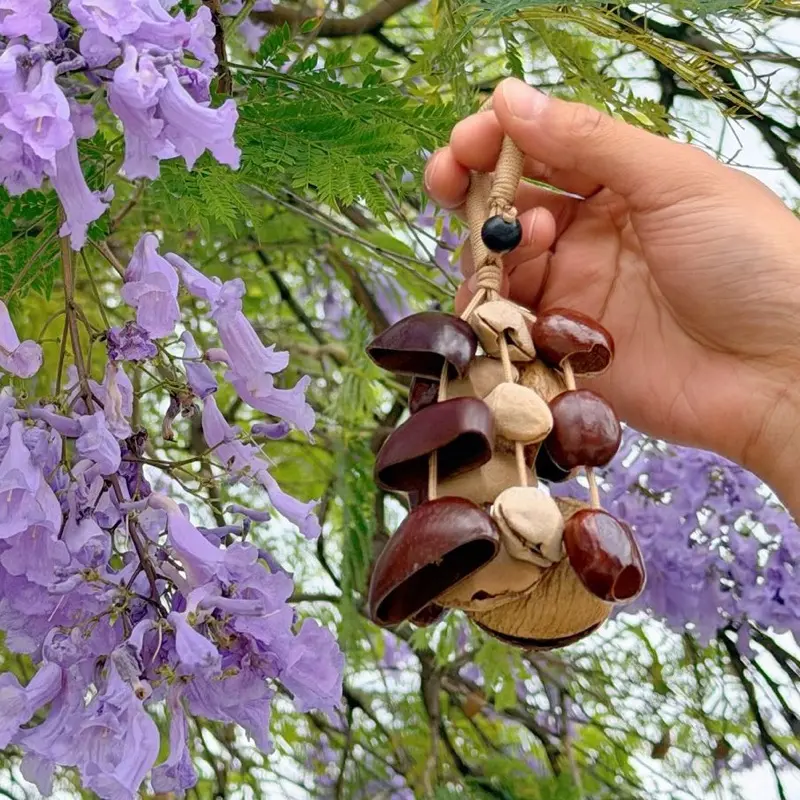 Handmade Natural Fruit Shell Wind Chime & Linen Shell Shaker, ASMR Wall Hanging Decor, Boho Bag-Car Charm, Eco-Friendly Gift for Her