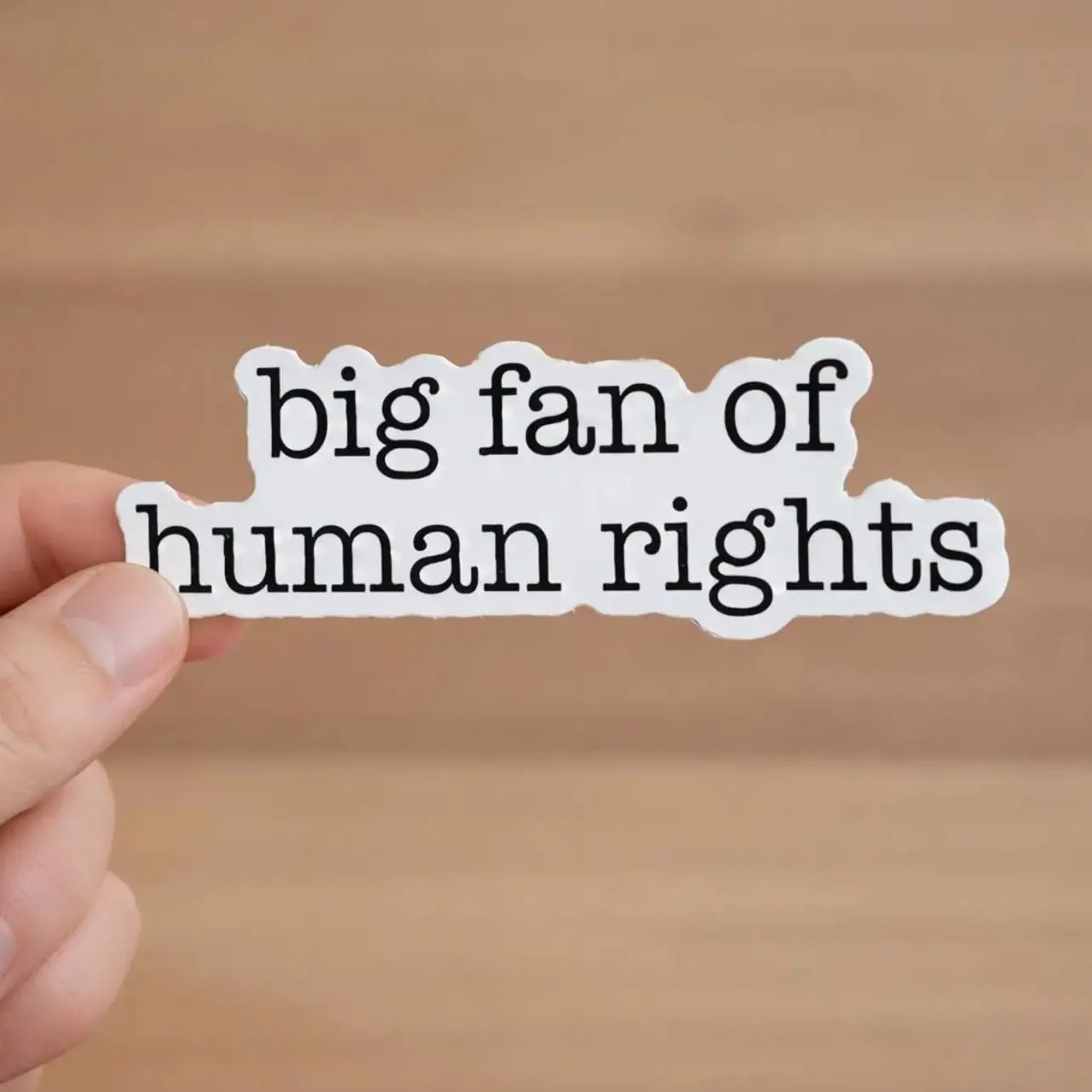 Big Fan of Human Rights Sticker/Car Magnet, Equality Magnet, Social Justice Sticker, Activist Gift, Human Rights Advocacy Sticker, Anti ICE 2