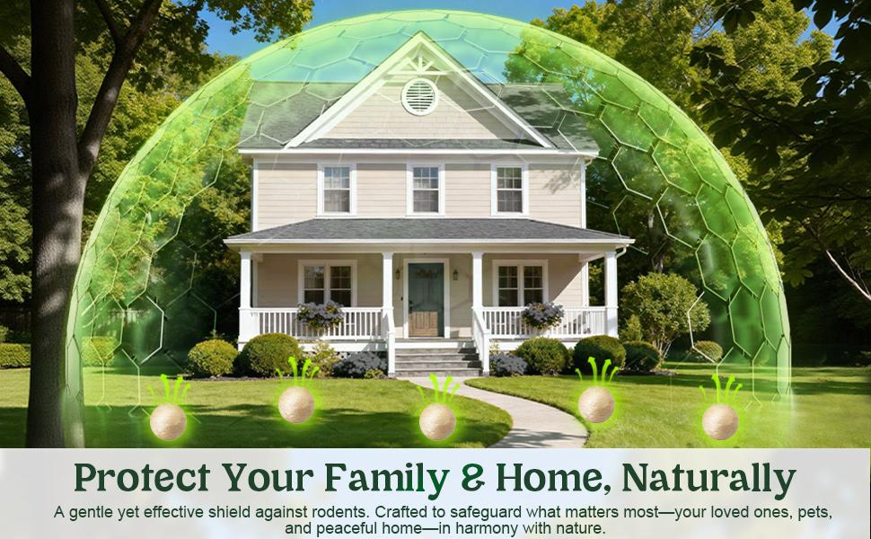 Kufonsung Natural Home & Car Pest Deterrent Balls – Peppermint Oil Rodent Repellent, Safe for Families, Long-Lasting Peppermint Scent, 30-60 Days Protection (12 Pieces Per Box)