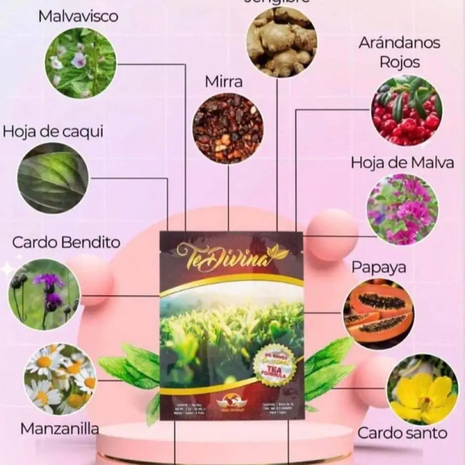 Vida Divina TeDivina de Vida Divina Herbal Tea 1 Bag - Organic, Caffeine-Free, Made with Herbal Ingredients for Relaxation & Stress Relief Beverage Na