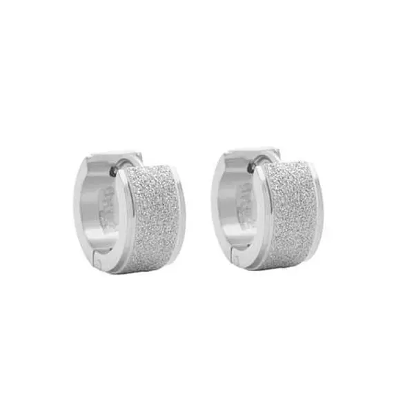 Stately Steel Sandy Huggie Earrings