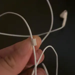review image 5
