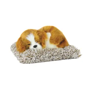 Mini Cavalier King Charles Perfect Petzzz