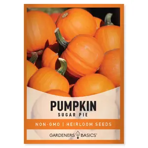Sugar Pie Pumpkin Seeds For Planting Home Garden Outdoors Squash For Halloween and Pumpkin Pie Eating
