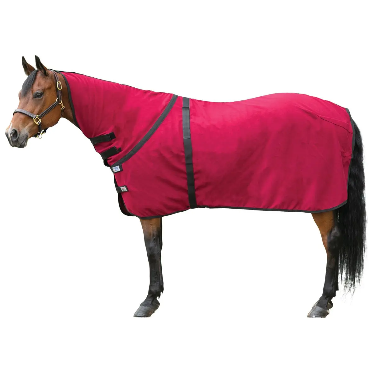 Contour Fit Polar Fleece Horse Cooler - Rapid Dry Equestrian Cooling Blanket with Adjustable Neck and Girth for Shows & Training, Riding, Coat Cooler, Full Wrap Girth, Halter Tabs, Post Bath
