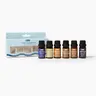 CANDECRAFTCO 6 Pack Household Aromatic Oil Set - Leak-Proof Bottles, Long-Lasting Throw, 12 Months Shelf Life, Mix & Drip Blend With Ease, Added Fragrance Scented Oils for Aromatherapy, Diffusers