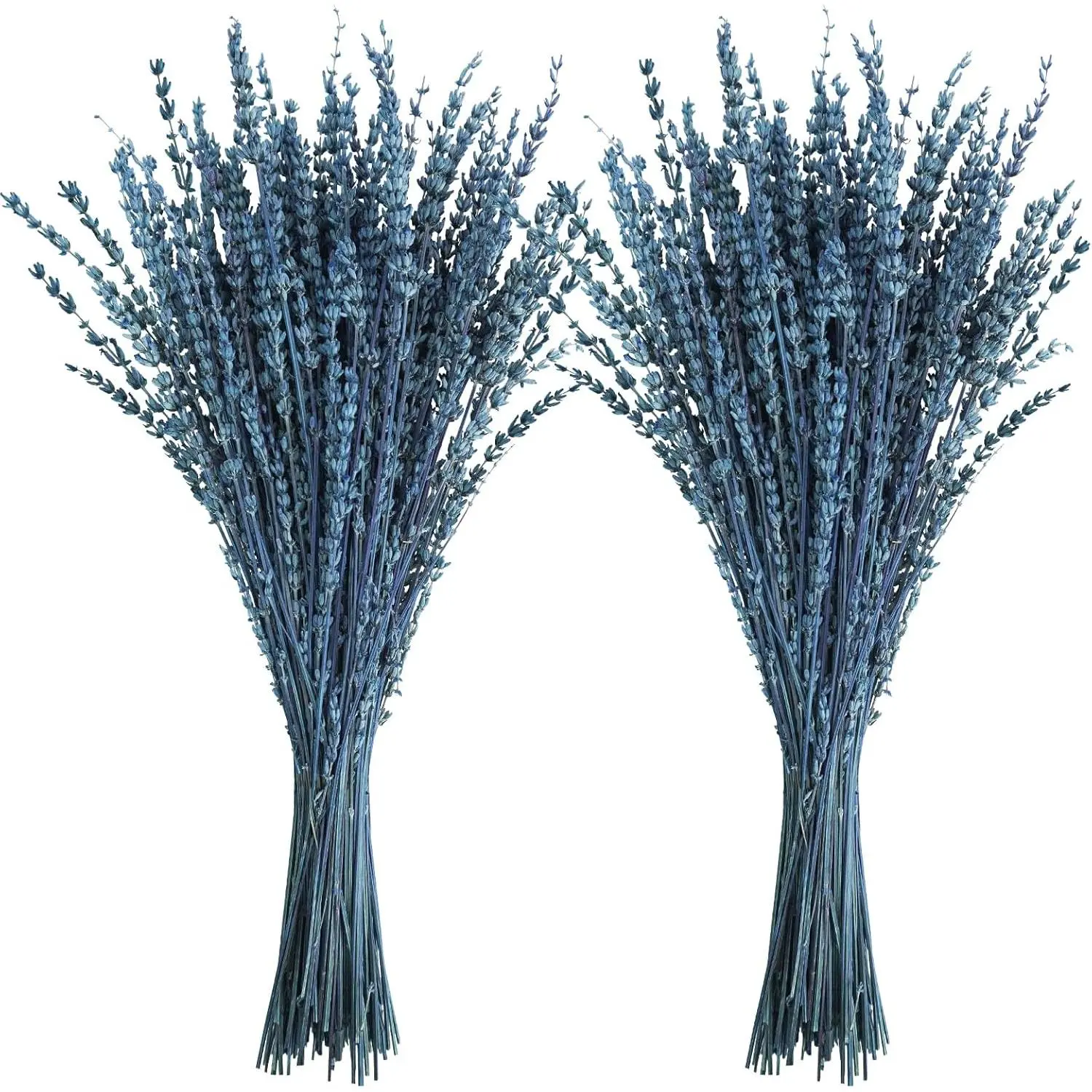 Uieke 16 in Preserved Dried Lavender Bouquets, 100g(3.52oz) Botanical Blue Flower Stems Bundle for Wedding, Home Fragrance, Room Decor, House Decor, Vase Crafts & Shower Use