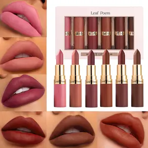 Matte Velvet Lipstick Set with 6 Lipsticks. These Lipsticks Have A Matte Texture, Are Waterproof, And Offer Long-lasting Makeup. They Are Suitable for Daily Use, Parties, Festivals, And Make Great Gifts.