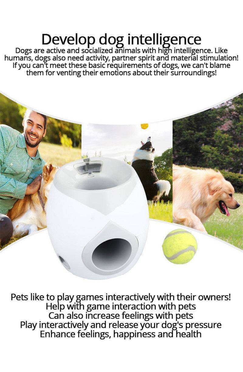 Automatic Pet Training And Feeding System