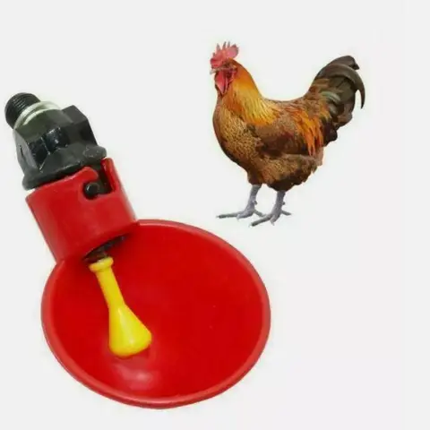 2-Pack Automatic Side-Mount Polypropylene Plastic Poultry Drinking Cups, Detachable Outdoor Farm Animal Waterers with Peck-Activated Release for Chickens, Ducks (2pcs, 2-Pack Coverage)