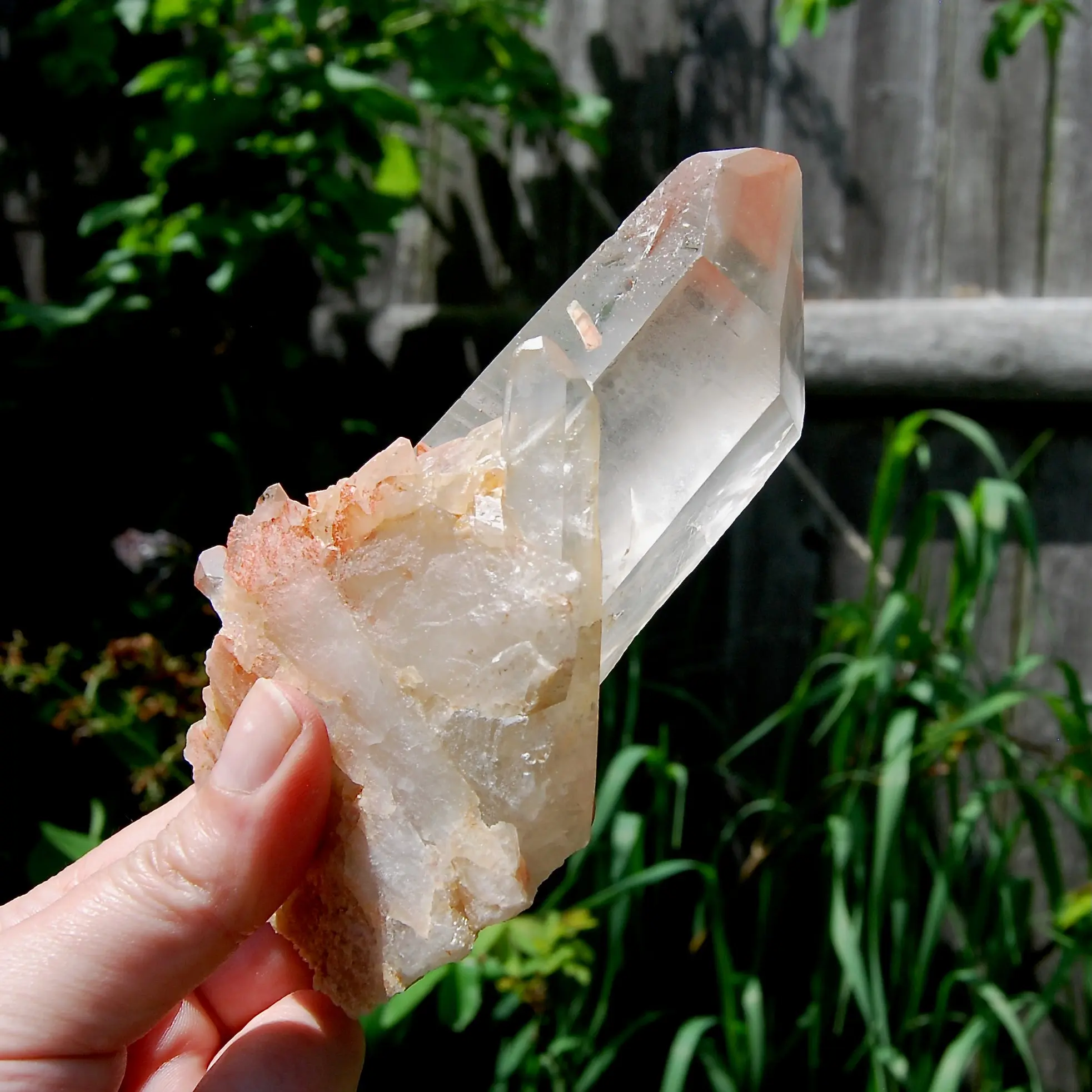 5.5in 355g Isis Face Pink Shadow Smoky Lemurian Seed Quartz Crystal Starbrary Cluster, Brazil