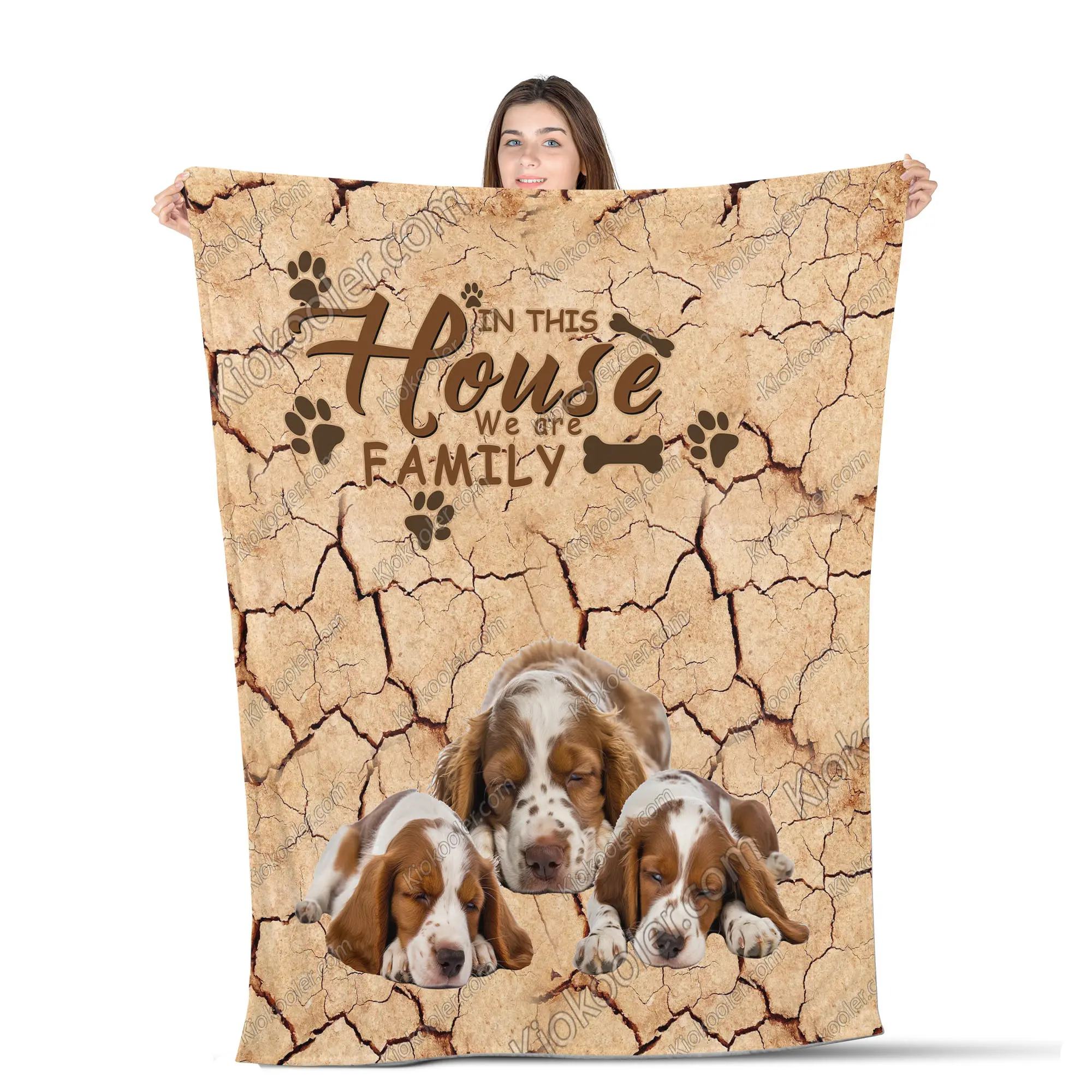 Welsh Springer Spaniel Dog We Are Family All Season Blanket, Welsh Springer Spaniel Dog Decor, Gifts For Dog Lovers, Sofa Throw Blanket Comfort Warmth Soft Blanket Fleece Blanket, Sherpa Blanket