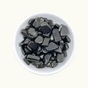 Shungite Tumbled