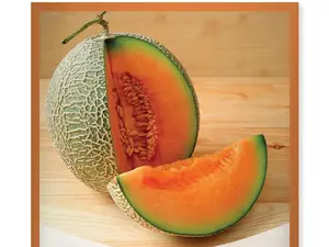 Heirloom 6 Varieties Mixed Melon & Tropical Fruit Seeds Pack - Cantaloupe Hawaiian Papaya Japanese Sakata Melon Tiny Watermelon Vine Peach Melon Watermelon Non-GMO Garden Planting Pack for All Seasons