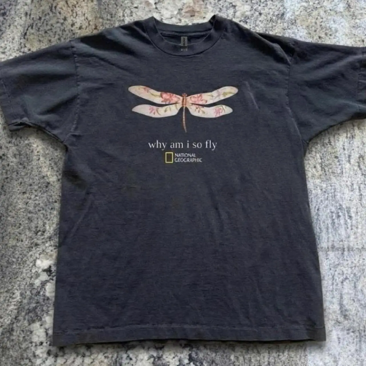 Gildan Men's and Women's T-shirt, Dragonfly Why Am I So Fly Graphic Tee, Animal Tee, Unisex T-shirt, Gift T-shirt, Y2k Unisex Graphic Tees Gothic Grunge Emo Scene Amity Affliction Style Clothes Menswear Womenswear Streetwear