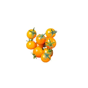 Tumbling Tom Yellow F1 Tomato Seeds