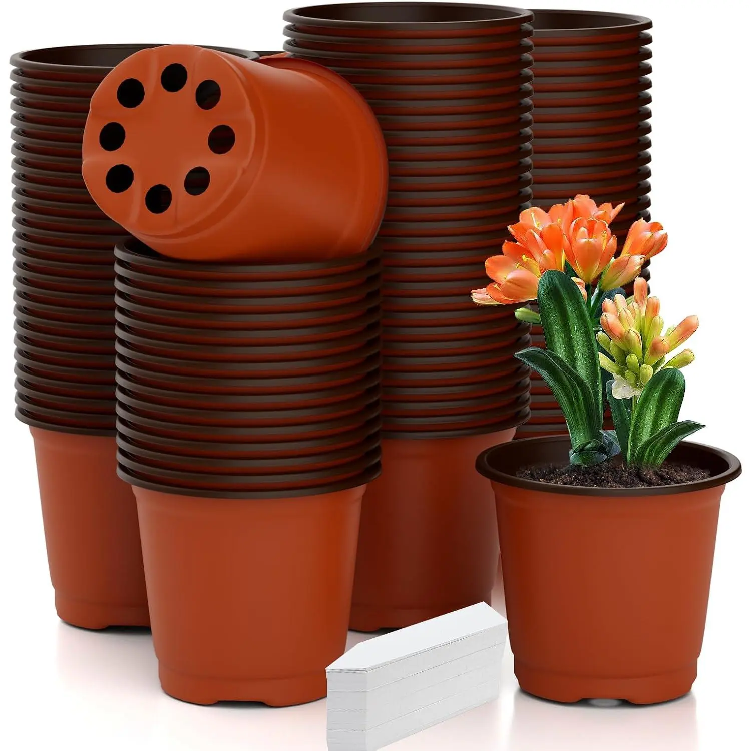 Pots 100 count 4 Inch Pots with 100 Labels, Planting Pot for Indoor  Outdoor, Plastic Flower Pot for Seedlings Transplanting Small Growing -  TikTok Shop