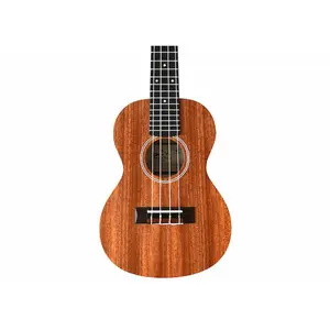 Twisted Wood PI-100C Concert Ukulele Laminate Sapele Pioneer Series