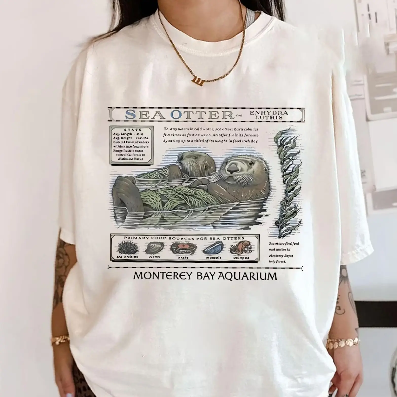 Vintage Sea Otters Monterey Bay Aquarium Comfort Colors T-Shirt, Retro Taylor Music Fan Gift Tee, Unisex Casual Streetwear
