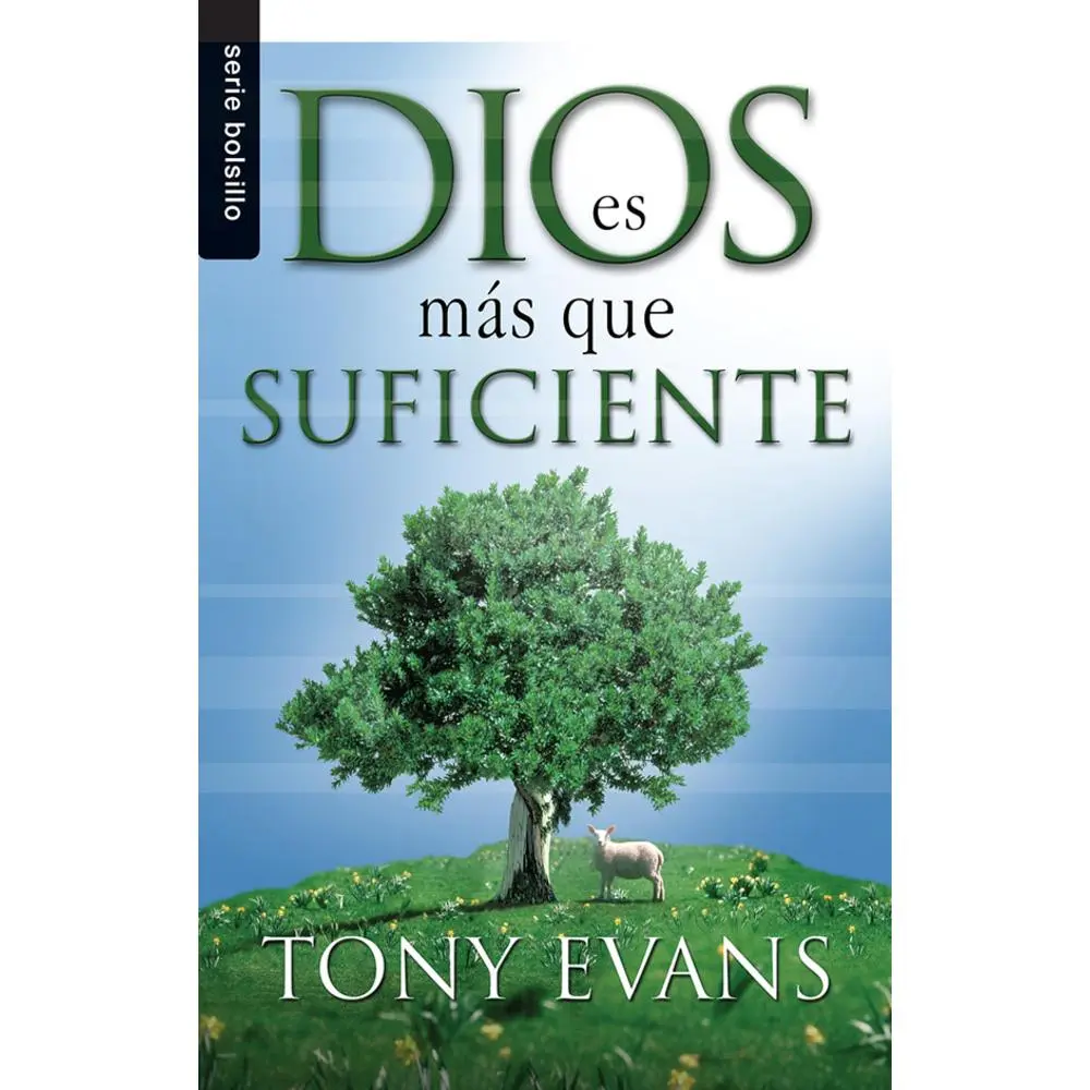 USED-Dios Es Mas Que Suficiente = God Is More Than Enough by Evans, Tony (Paperback)