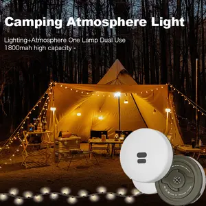 Christmas Edition APP-Controlled Camping String Lights, USB-Rechargeable Super Bright LED Fairy Lights, Outdoor String Lights for Garden, Tent, Party & Holiday Decor, Christmas Decorations christmas light camping  string  lights Smart Strip RGBIC  zoo pho
