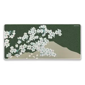 X-Raypad Aqua Control 2 Gaming Mouse Pad, Ultra-High Precision Mouse Pad with Perfect Speed and Control Capability, Consistent X and Y Glide, Designed for Fps Players with Low DPI Requirements