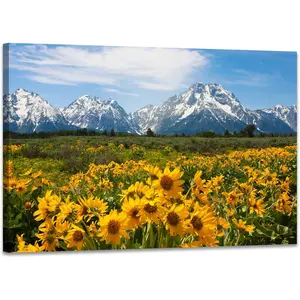 Mountain Office Picture Wall Decor Sunflower Landscape Living Room Wall Art, Grand Teton Posters Print Artwork for Walls