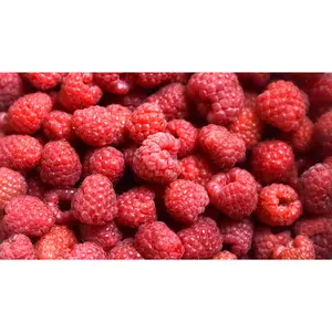 Heirloom Organic Raspberry Seeds