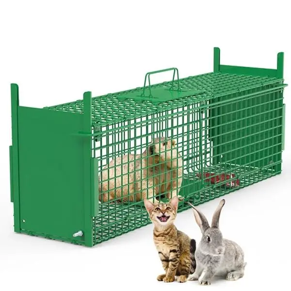 Humane Live Animal Cage Trap - Best Catch & Release Trap for Squirrels, Rabbits, Raccoons & Stray Cats | Easy Setup Galvanized Iron Heavy Duty 32" System Terrarium Farm Ant Acrylic bunny hutch space inner pen fresh grass exercise wheel