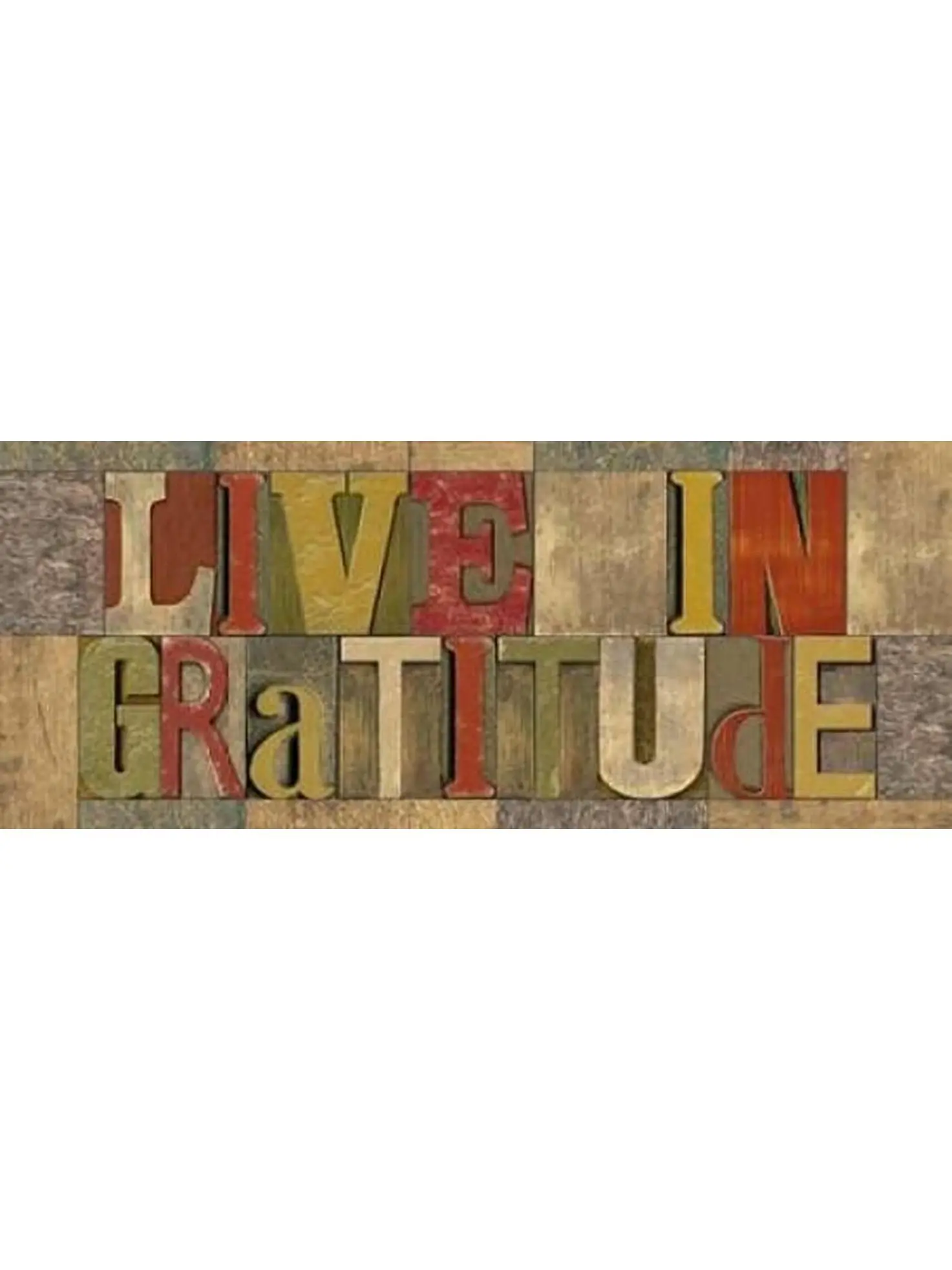 Roaring Brook Art PDXRB9550TRSMALL Live in Gratitude Printer Block Panel Poster Print by Tara Reed, 10 x 20 - Small