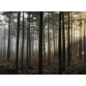 Iced Vanilla Woods- Scented Beads