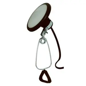 Southwire & Coleman Cable  8W 600 Lumen Clamp Utility Light