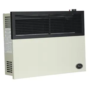 Ashley Hearth Products 17,000 BTU Direct Vent Liquid Buddy Propane Wall Mount Heater