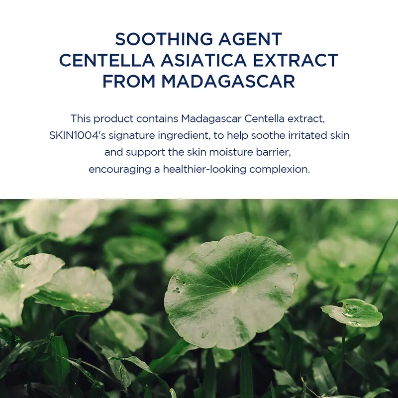 Madagascar Centella