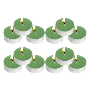 Tea Lights Candles - 12 Pack Green Tealights Candle Scented Green Tea Small Candle for Home, Holiday, Wedding & Party,Dinner Table, Halloween Christmas and Holiday (Green Tea)