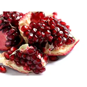 Pomegranate Punica Granatum Seedling 2-3 Feet