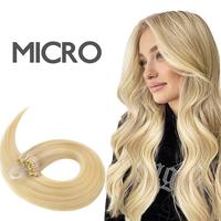 #16/22 Light Blonde Highlighted Golden Blonde