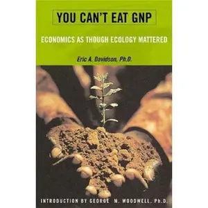 USED-You Can't Eat GNP: Economics As If Ecology Mattered by Eric A. Davidson (Hardcover)