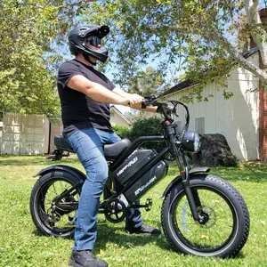 HappyRun G70 2000W Dual Battery Fast Electric Cargo Bike for Sale HappyRun G70 2000W Dual Battery Fast Electric Cargo Bike for Sale