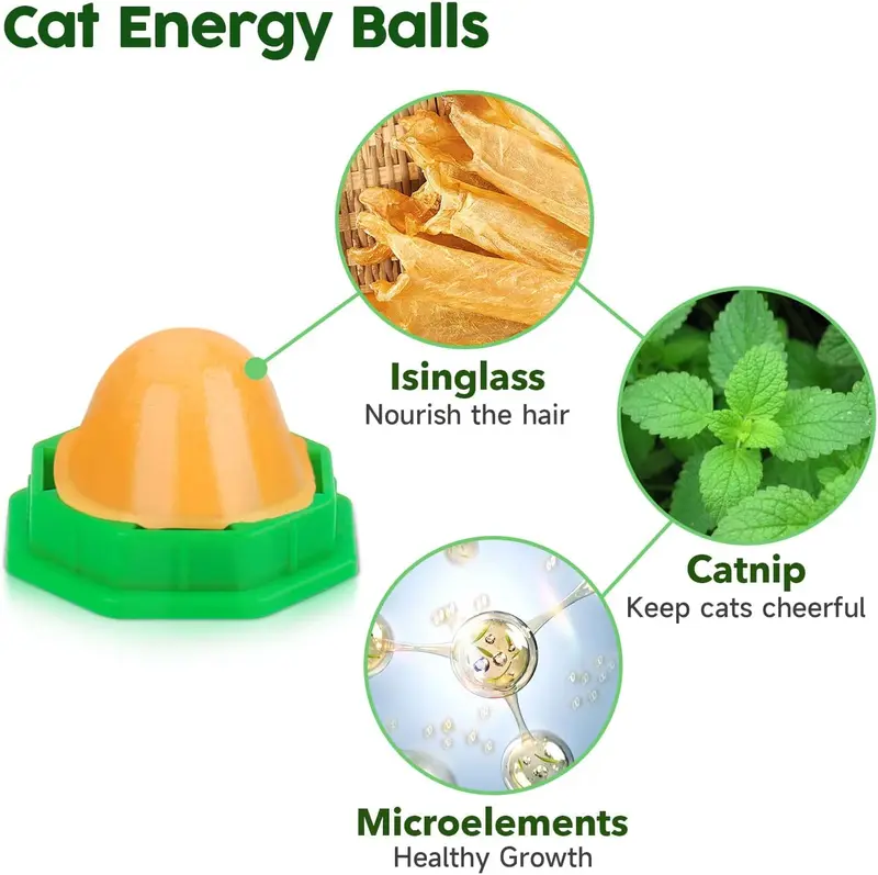 cat palm toxic - TikTok Shop