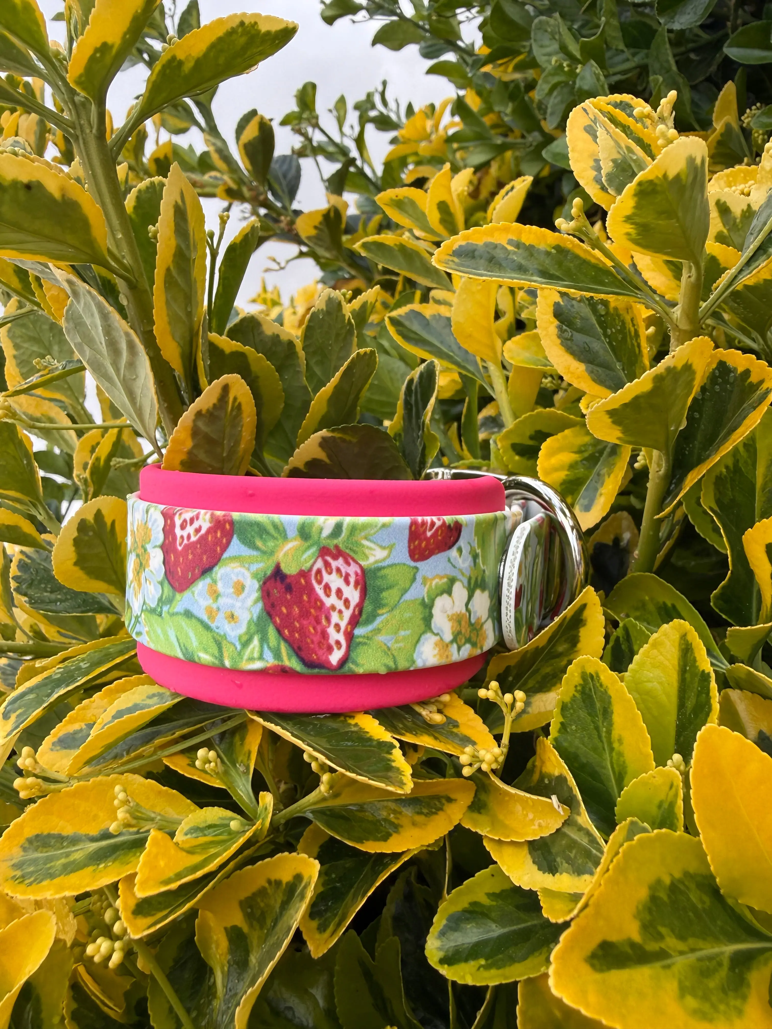 Strawberry Fields UV Printed Biothane® Collar