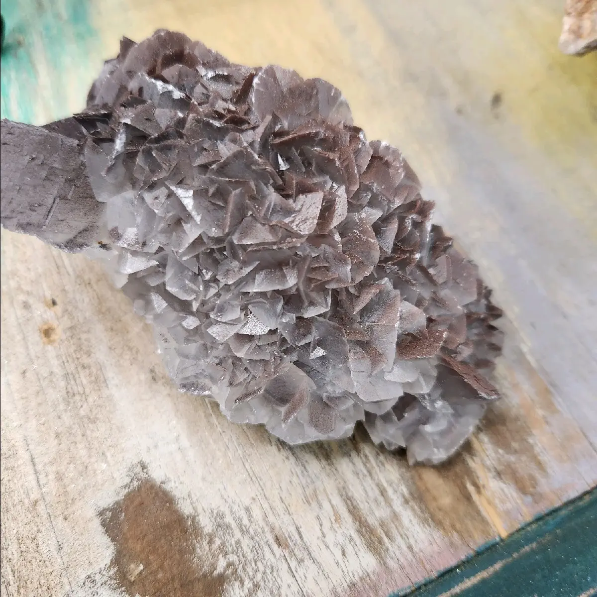 Chocolate Angel Wing Calcite