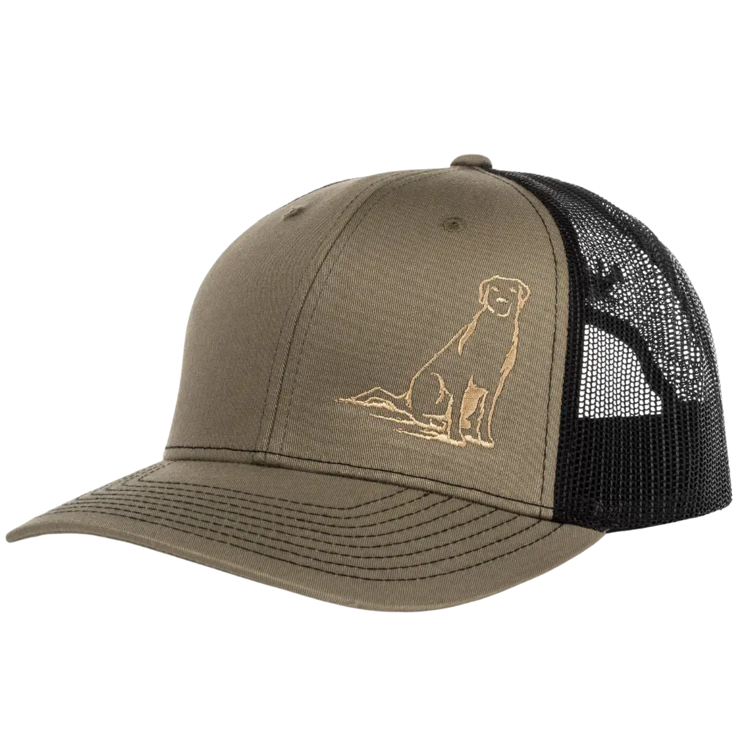 Lab Cap