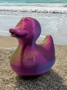 Large Multicolor Duck