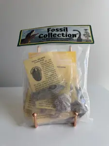 Educational Fossil Collection