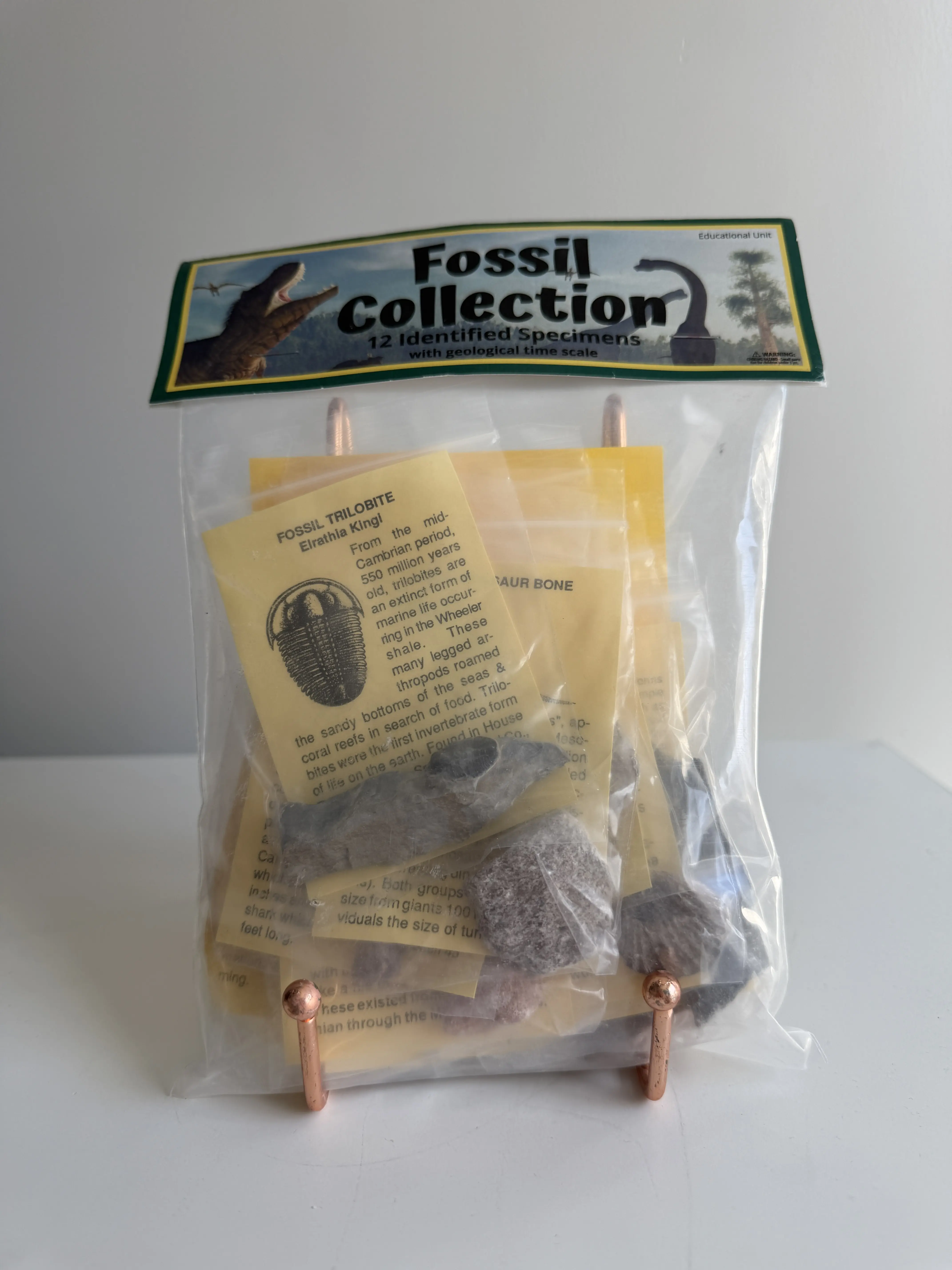 Educational Fossil Collection