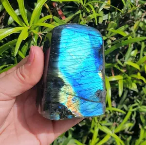Crystals Blue Labradorite Freeform Gift Home Ornament